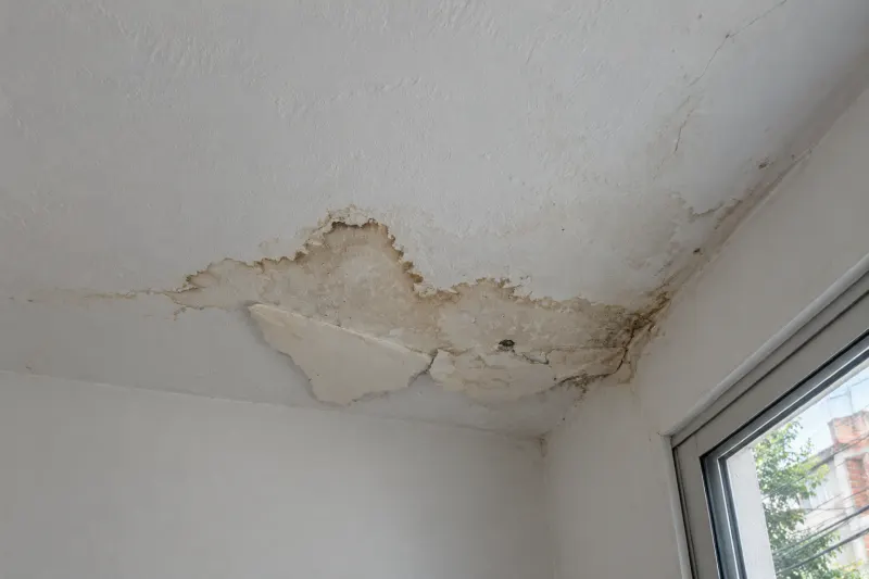 Babeta despegada al pie de un parapeto con una mancha de humedad